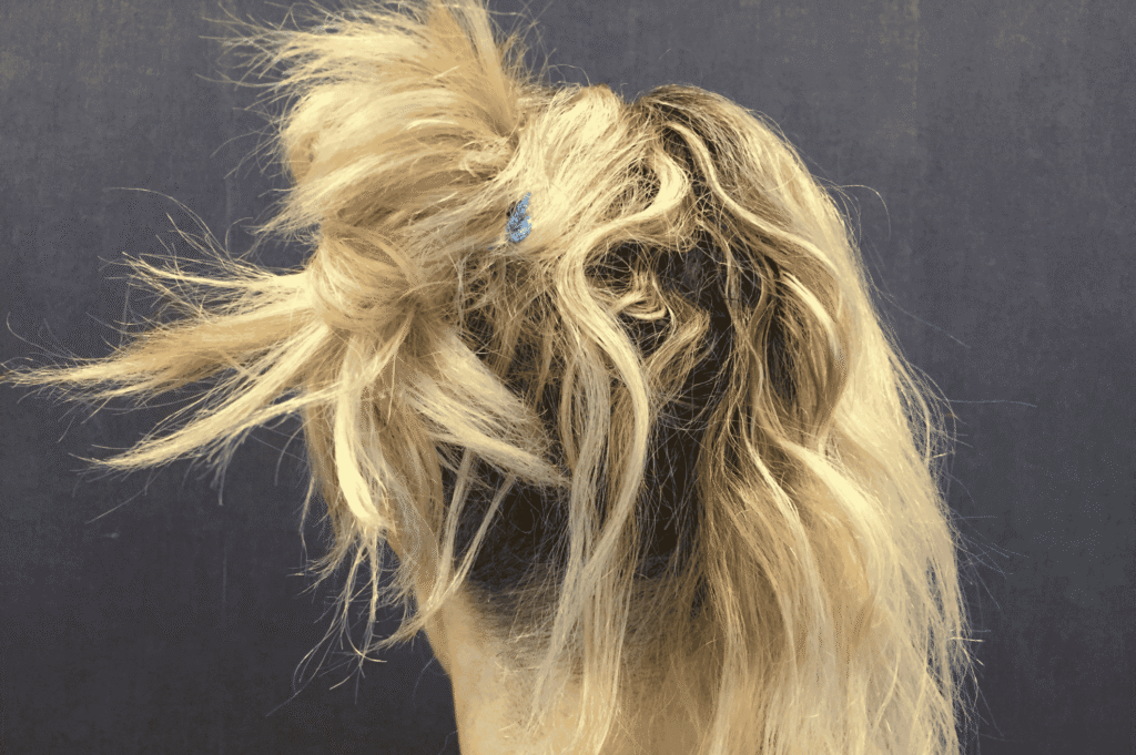 Damaged hair with frizz and breakage due to hard water exposure – The Gulf Shower hair care tip